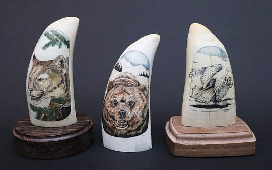 Three B. Aumick Scrimshaw and Polychromed Teeth
