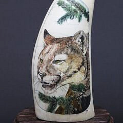 Three B. Aumick Scrimshaw and Polychromed Teeth