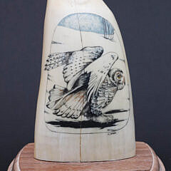 Three B. Aumick Scrimshaw and Polychromed Teeth