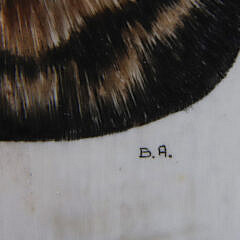 Three B. Aumick Scrimshaw and Polychromed Teeth
