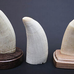 Three B. Aumick Scrimshaw and Polychromed Teeth