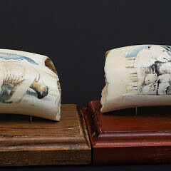 Two B. Aumick Scrimshaw and Polychromed Teeth