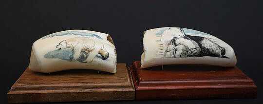Two B. Aumick Scrimshaw and Polychromed Teeth