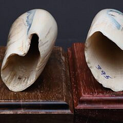 Two B. Aumick Scrimshaw and Polychromed Teeth Depicting Polar Bears