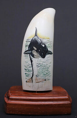 Scrimshaw and Polychromed Whale Tooth Depicting a Breeching Whale
