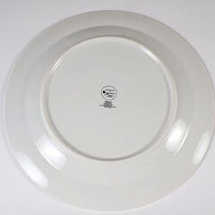 16 Piece “Rainbow Lake” For Domestications Dinner Service