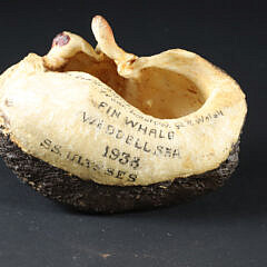 19th Century Decorated Whale Bone Inner Ear “Portrait of a Lady”