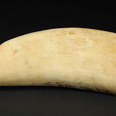American Scrimshaw Whale Tooth, Portrait of General Winfield Scott, circa 1847