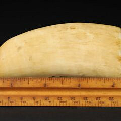 American Scrimshaw Whale Tooth, Portrait of General Winfield Scott, circa 1847