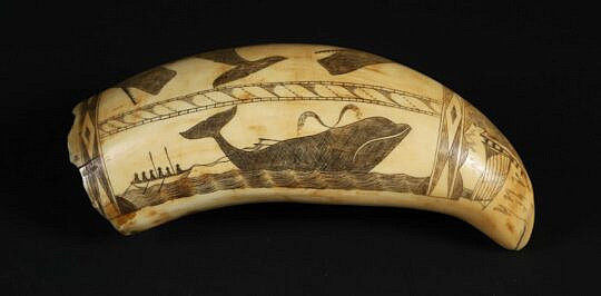 American Scrimshaw Whale Tooth, circa 1850