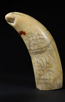 American Scrimshaw Whale Tooth, circa 1840