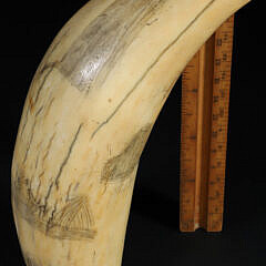 American Scrimshaw Whale Tooth, circa 1840