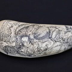Scrimshaw Whale Tooth Depicting a Pack of Wolves Attacking a Moose