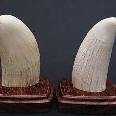 Two P. Hayde Signed Scrimshawed Whale Teeth Depicting Life in Alaska