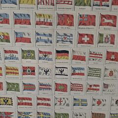 Antique Johnson’s New Chart of National Emblems Flag Lithograph Chart, 19th century