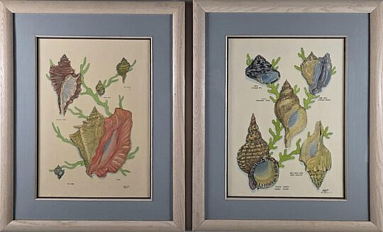 4802-955 Shell Lithographs A