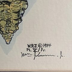 Pair of Vintage Conch Shell Family Tree Lithograph Prints, 20th century