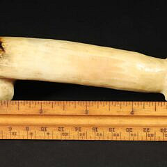 Rare and Scarce Whaleman Carved “Penis” Pipe, 19th Century