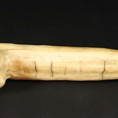 Rare and Scarce Whaleman Carved “Penis” Pipe, 19th Century
