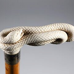 Carved Coiled Snake Grip Cane, 19th Century