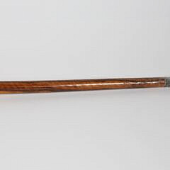 Carved and Engraved Rearing Cobra Grip Walking Stick, 19th Century