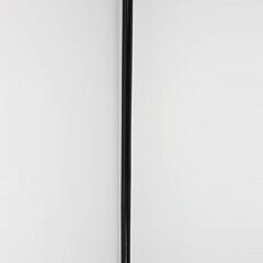 Carved Eagle Head Grip Walking Stick, 19th Century