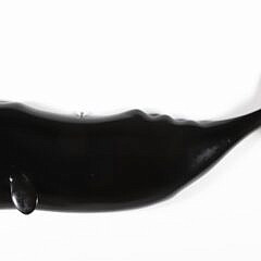 Vintage Carved Wood Sperm