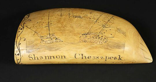 Scrimshaw Sperm Whale Tooth "The Shannon and Chesapeak War of 1812" 19th Century