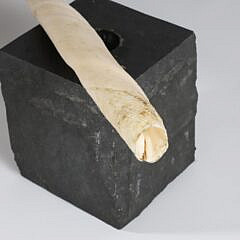 Antique Narwhal Tusk
