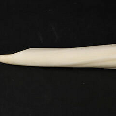 Antique Narwhal Tusk