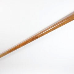 37 Inch Telescope Walking Stick With Silver Collar