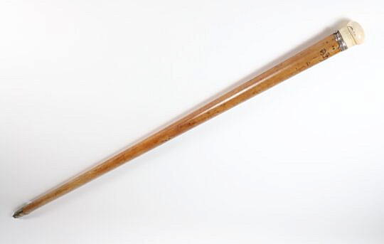 37 Inch Telescope Walking Stick With Silver Collar