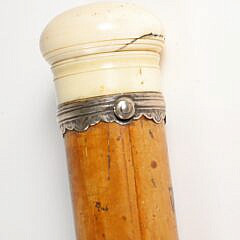 37 Inch Telescope Walking Stick With Silver Collar