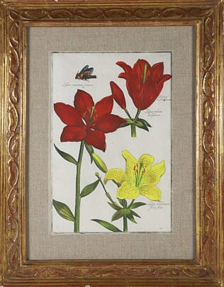 Daniel Rabel (Paris 1578-1637) Hand Colored Copper Engraving #32 Lilies circa 1622