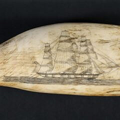 English Britannia Scrimshaw Whale Tooth, 19th Century