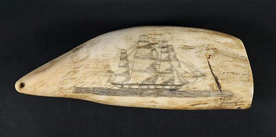 English Britannia Scrimshaw Whale Tooth, 19th Century