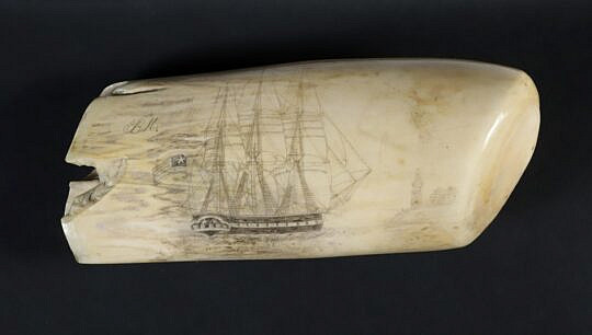 Whaleman Scrimshaw Whale Tooth Engraved With American Clipper Ship, 19th Century