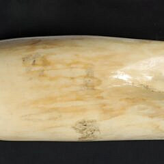 Whaleman Scrimshaw Whale Tooth Engraved with American Clipper Ship, 19th Century