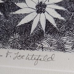 John Lochtefeld (1933-2025) Artist’s Proof Edition Nantucket Etching “Quiet Flower Laden Shore”