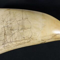 American Scrimshaw Whale Tooth, 19th Century