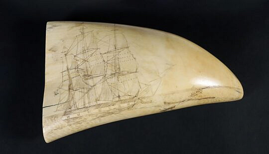 American Scrimshaw Whale Tooth, 19th Century