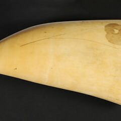 American Scrimshaw Whale Tooth, 19th Century