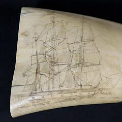 American Scrimshaw Whale Tooth, 19th Century