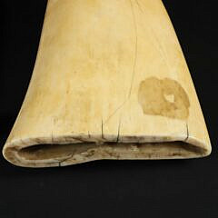 American Scrimshaw Whale Tooth, 19th Century