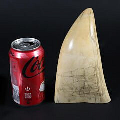 American Scrimshaw Whale Tooth, 19th Century