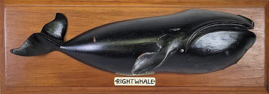 1795-1865 Whale Plaque A