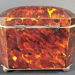 Antique English Regency Dual Compartment Tea Caddy