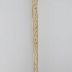 Antique Narwhal Tusk Cane, 19th Century