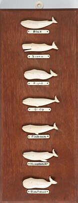 Fine Aletha Macy Carved Seven-Whale Species Plaque