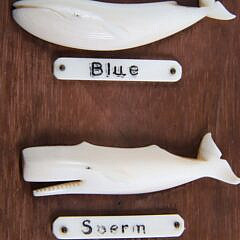 Fine Aletha Macy Carved Seven-Whale Species Plaque